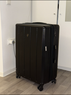 Large hardshell travel case (black)